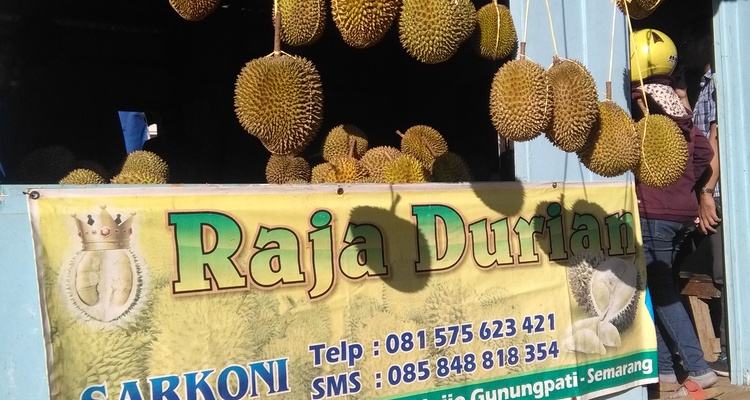 Raja Durian Pak Sarkoni