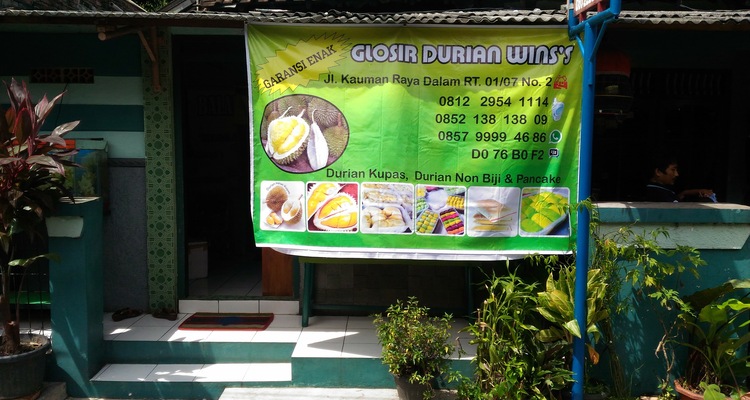 Grosir Durian Winss