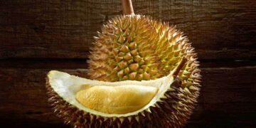 Rekomendasi Tempat Jual Durian di Semarang, Langsung dari Kebun