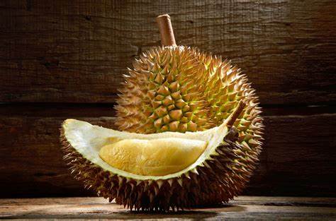 Rekomendasi Tempat Jual Durian di Semarang, Langsung dari Kebun