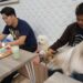 petshop