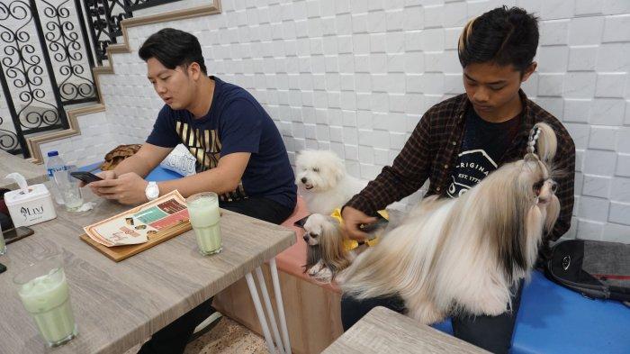 petshop