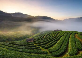Wisata di Limbangan kendal