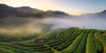 Wisata di Limbangan kendal