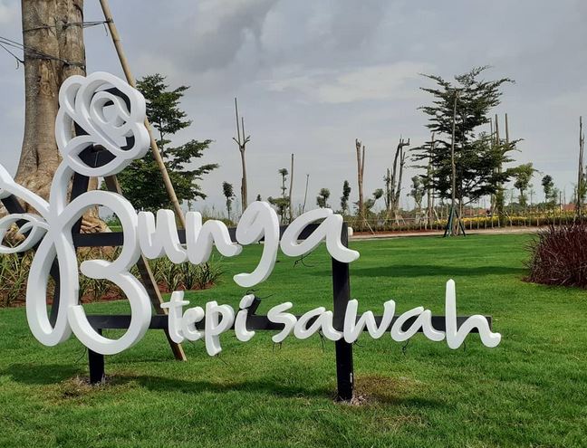 Wisata Weleri Kendal - Bunga Tepi Sawah