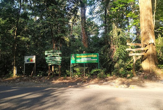 Wisata di Kaliwungu Kendal - Cagar Alam Pagerwunung