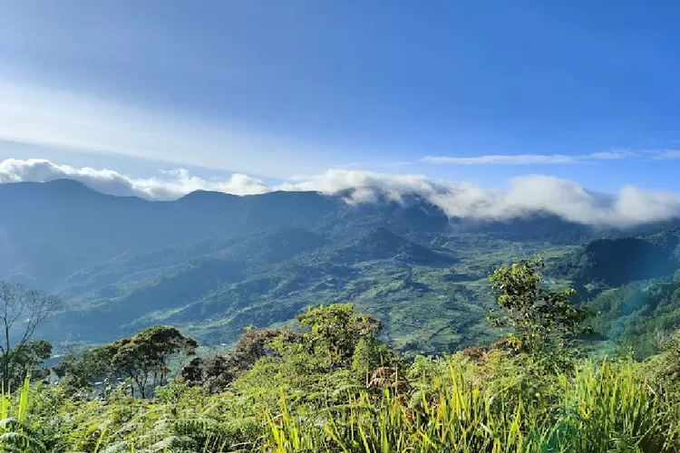 Wisata di Petungkriyono Pekalongan - Kendalisodo