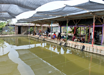 Contoh tempat wisata di Mijen Demak