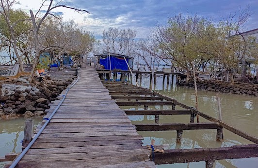 Wisata di Mranggen Demak - Taman Mangrove Morosari Demak
