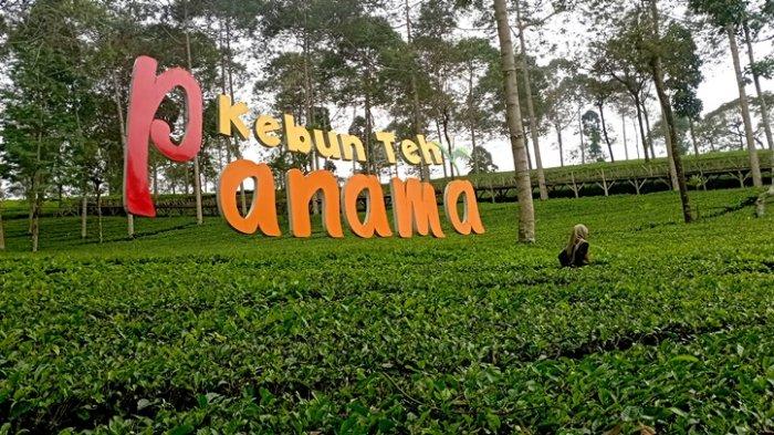 Wisata Panama