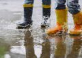 Rekomendasi Sepatu Boot Safety