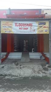 Tlogosari-petshop
