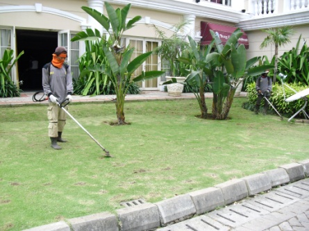 Jasa Potong Rumput Ratna Jati