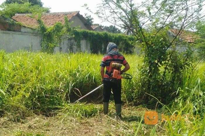 Jasa Potong Rumput Abu Hafsh PT