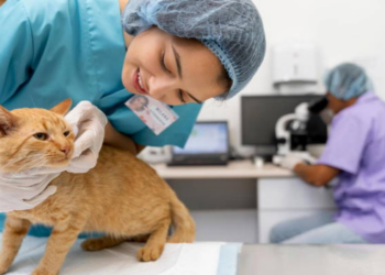 10 Klinik Hewan Bandung dengan Pelayanan Terbaik